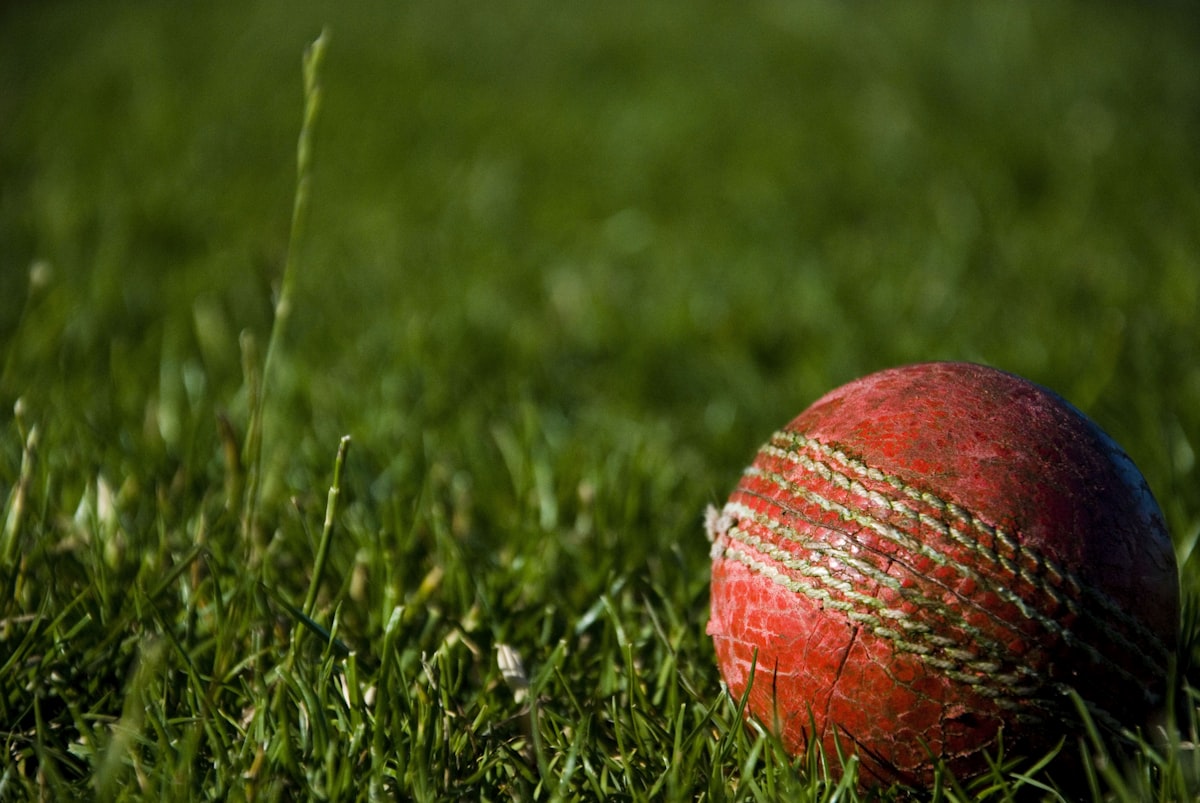 Cricket bat and kit